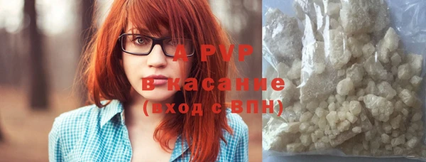 PSILOCYBIN Верея