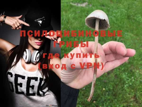 2c-b Бронницы
