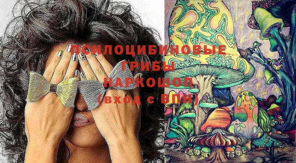 PSILOCYBIN Верея