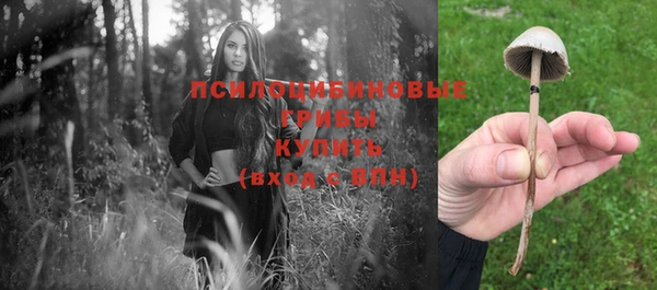 соль ск Верхнеуральск