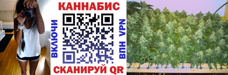 Шишки марихуана Bruce Banner  Зима 